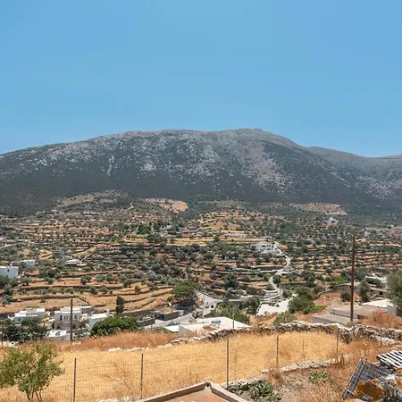 Sylvia's * Ano Petali